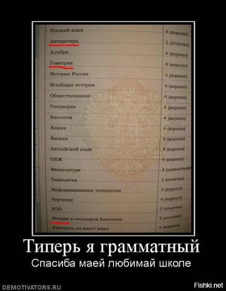 Из солянки