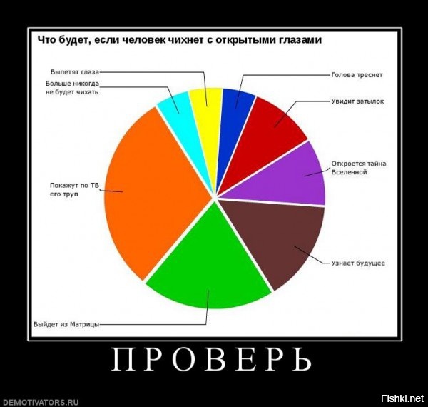 Из солянки