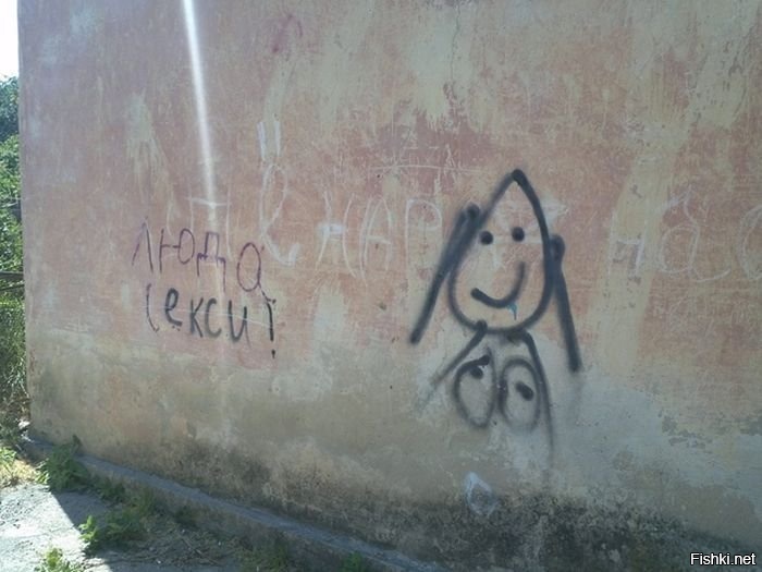 Из солянки