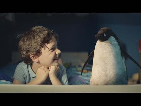 Мальчик и пингвин. Трогательная история