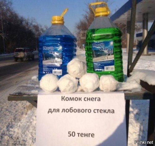 Из солянки