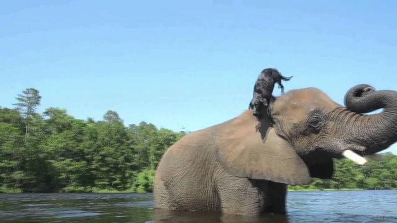 Вот она дружба! Улыбнитесь друзья