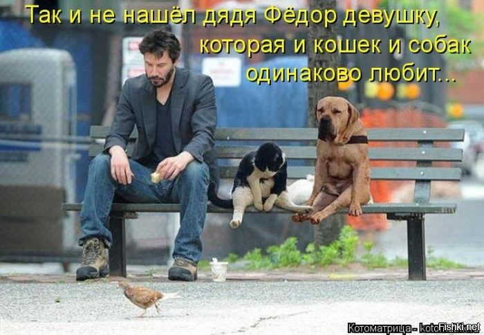 Из солянки