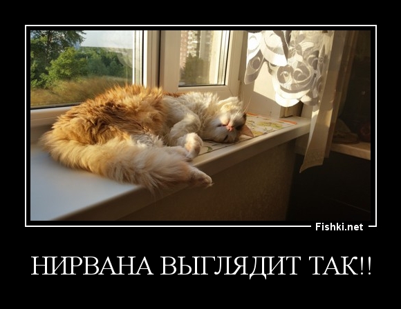 Нирвана выглядит ТАК!!