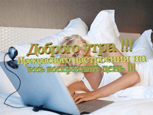 Из солянки
