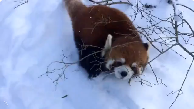 ЗИМА КОНЧИЛАСЬ