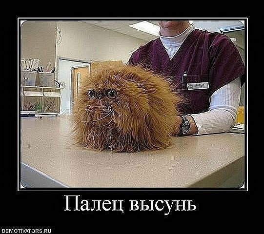 Сборник лучших приколов 2015 выпуск 