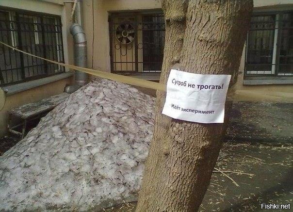 Из солянки