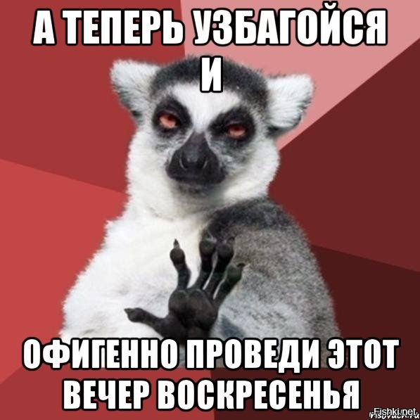 Из солянки