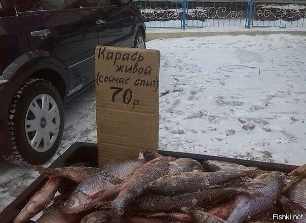 Из солянки