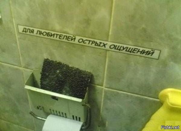 Из солянки