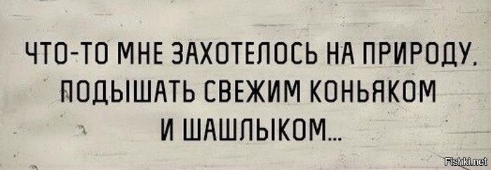 Из солянки