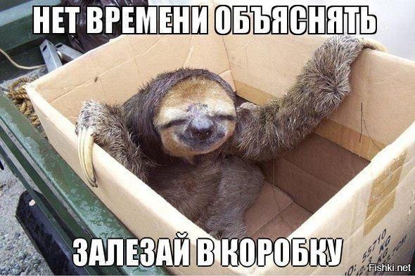 Из солянки