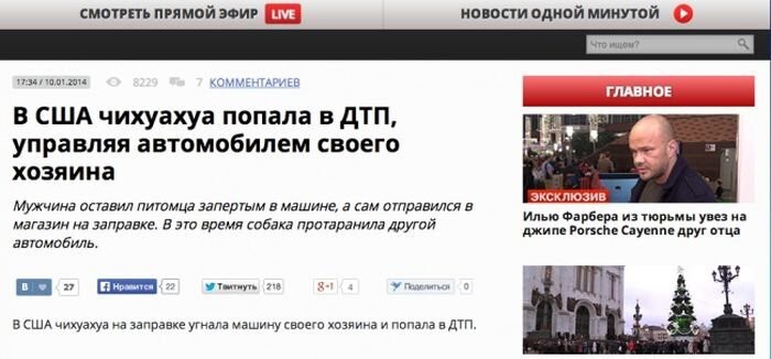 Генератор новостных заголовков LifeNews