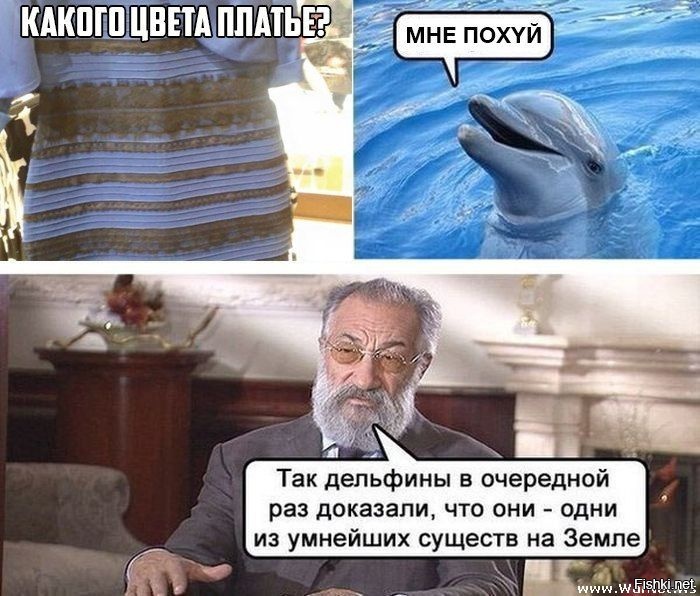 Из солянки