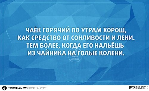 Из солянки
