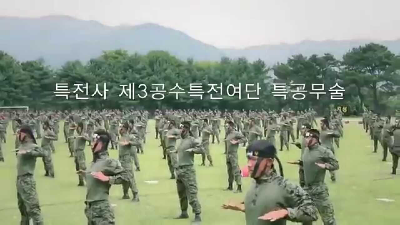 Показательное выступление спецназа Южной Кореи