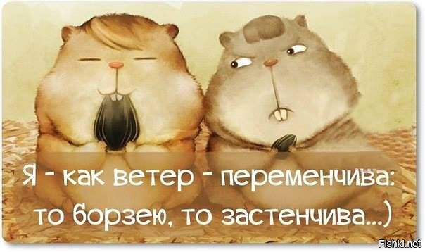 Из солянки