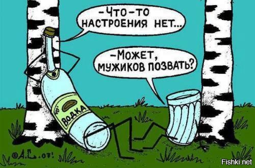 Из солянки