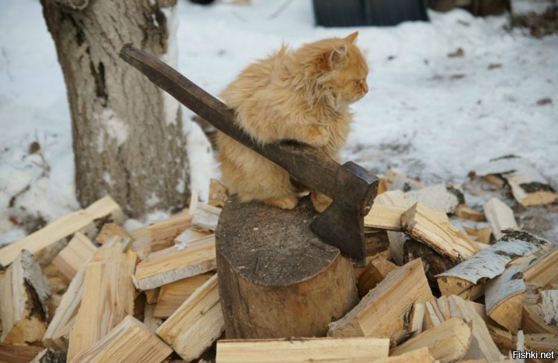 наточил я свой топор