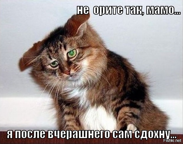Из солянки