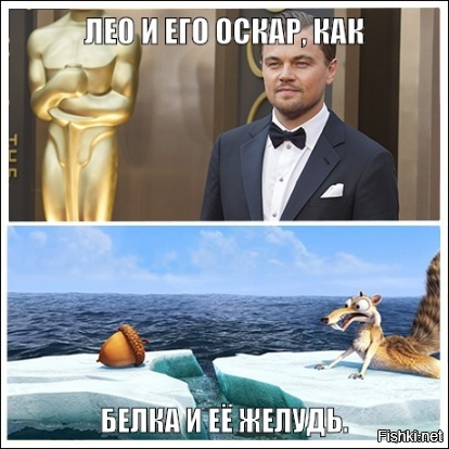 Из солянки