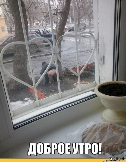 Из солянки