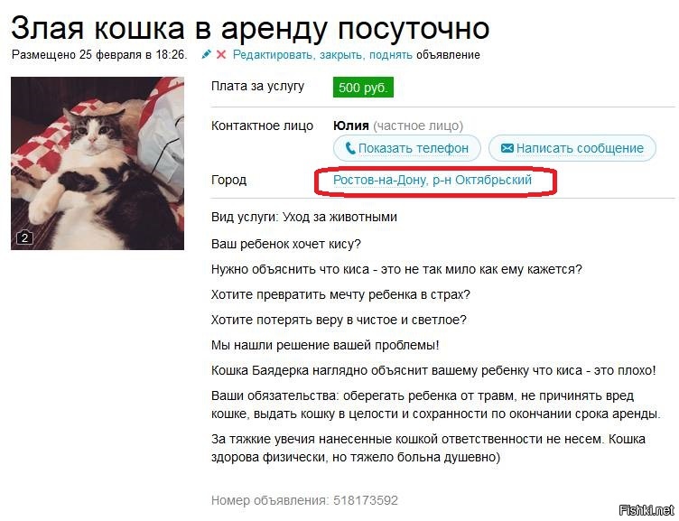 Из солянки