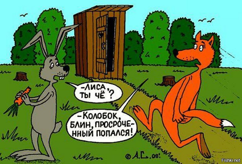 Из солянки