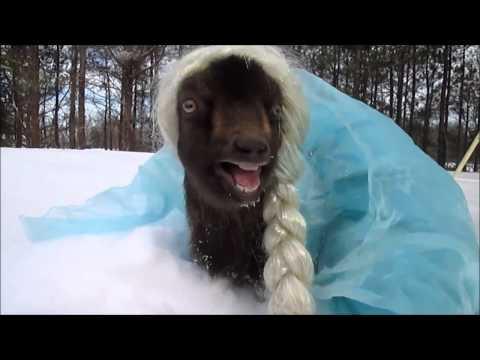  Ксения Собчак на снегу