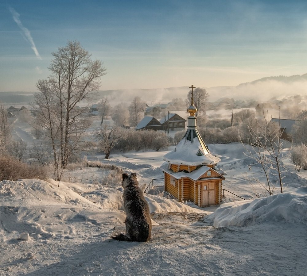 Лучшие фотографии месяца!