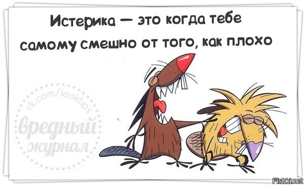 Из солянки