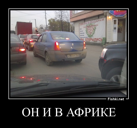 он и в африке