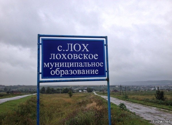 Из солянки