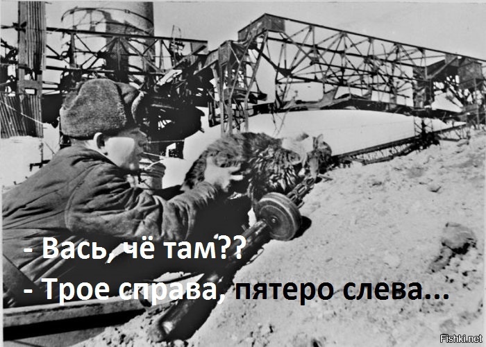 Из солянки