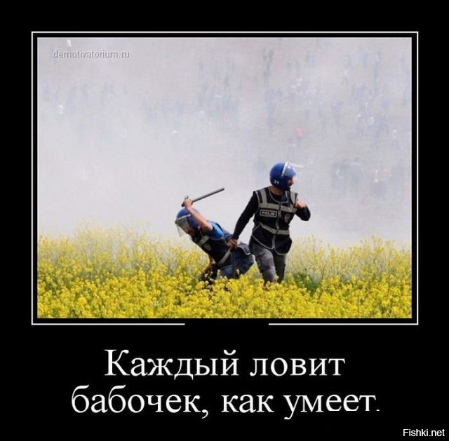 Из солянки