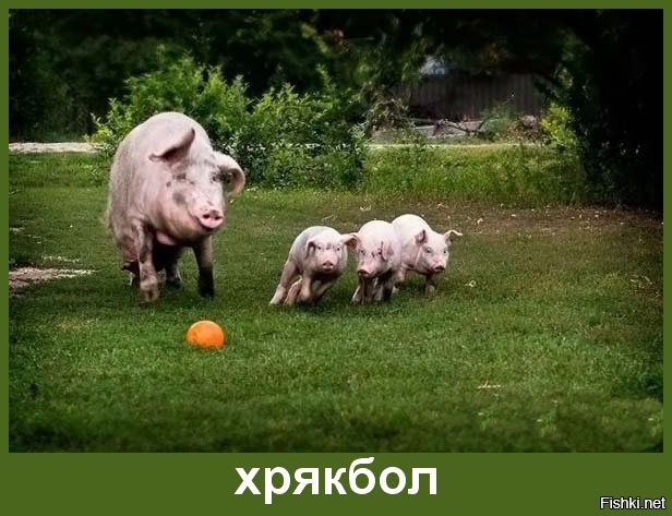 Из солянки