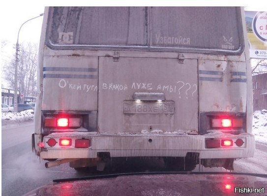 Из солянки
