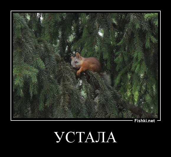 УСТАЛА