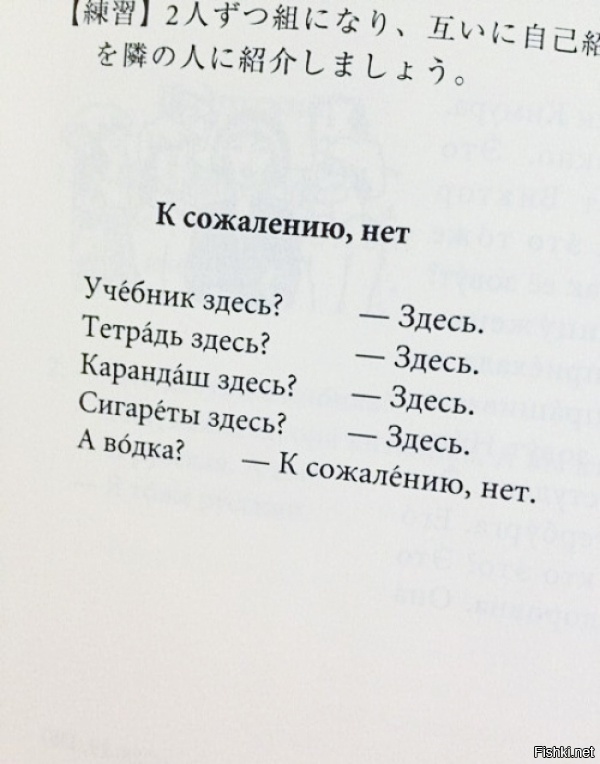 Из солянки