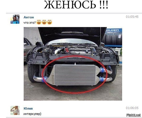 Из солянки