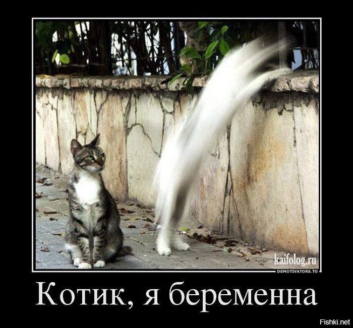 Из солянки