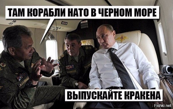 Из солянки
