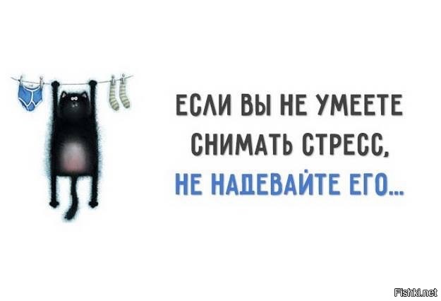 Из солянки