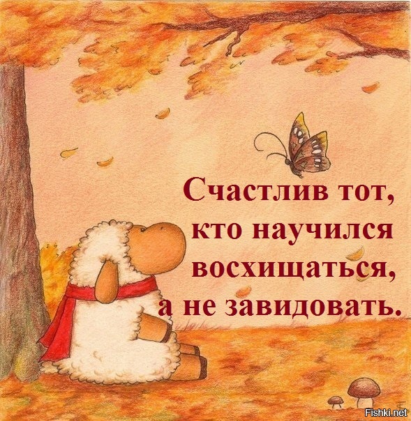 Из солянки