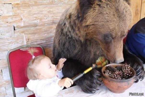 Ты не ты, когда голоден