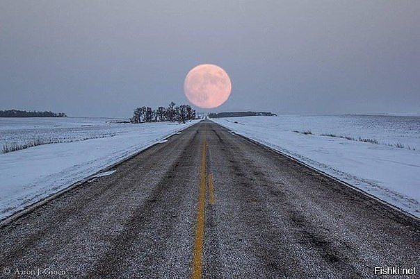Дорога на Луну
