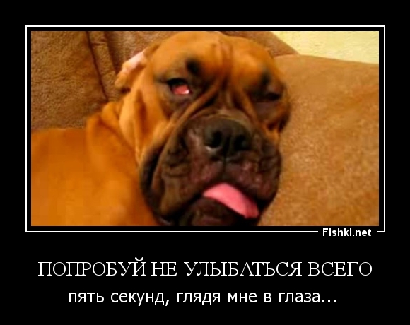 Попробуй не улыбаться всего
