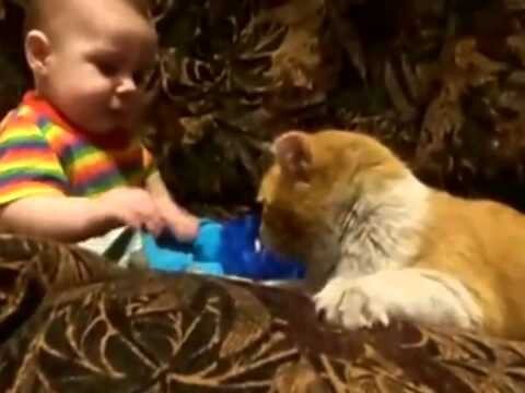 Кот знает как обращаться с детьми