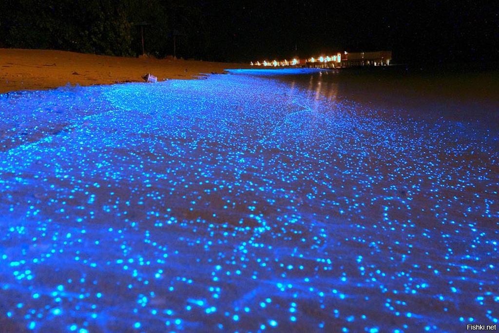 Светящийся фитопланктон на побережье острова Вааду, Мальдивы